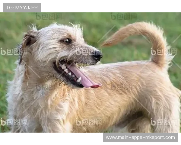 拉塞尔与工程师争吵